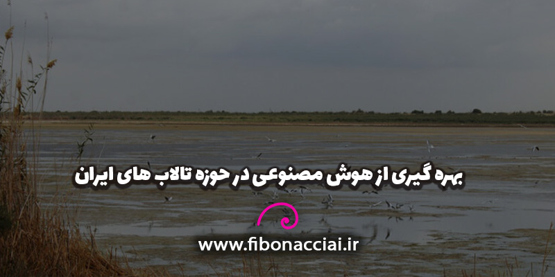 بهره گیری از هوش مصنوعی در حوزه تالاب ها